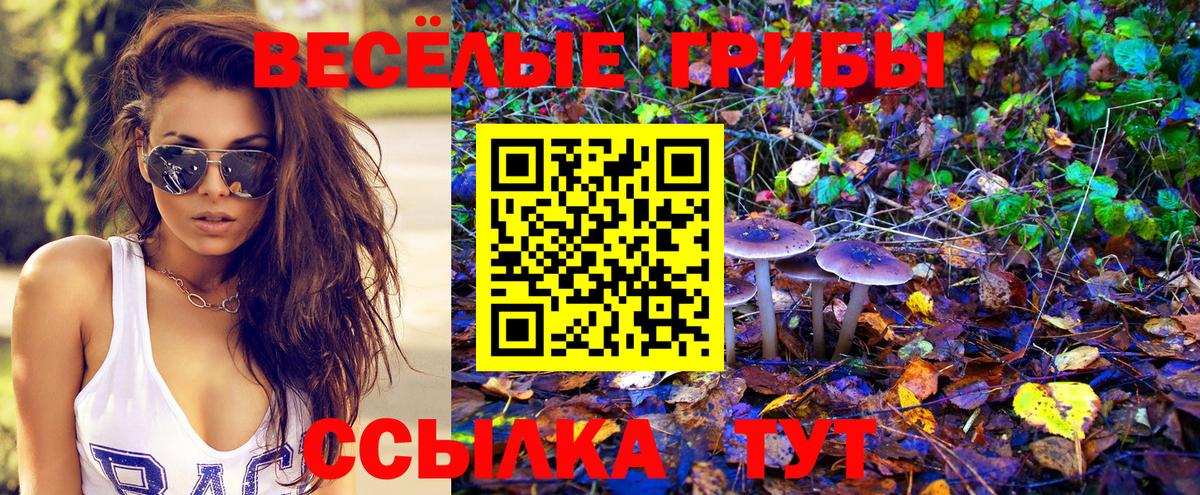 Галлюциногенные грибы мицелий Еманжелинск